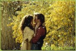 Фильм Танцующий с волками (1990) для телефонов