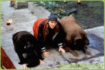 Смотреть онлайн Догма (1999)