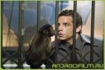 Смотреть онлайн Ночь в музее (2006)