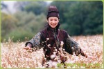 Смотреть онлайн Дом летающих кинжалов (2004)