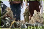 Фильм Хроники Нарнии: Покоритель Зари (2010) для телефонов