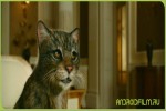 Смотреть онлайн Золотой компас (2007)