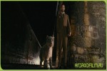 Фильм Золотой компас (2007) для телефонов