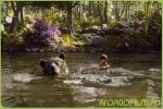 Фильм Книга джунглей (2016) для телефонов