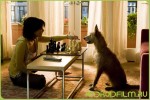 Кино Дом у озера (2006) для планшета