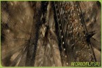 Кино Матрица: Революция (2003) для планшета